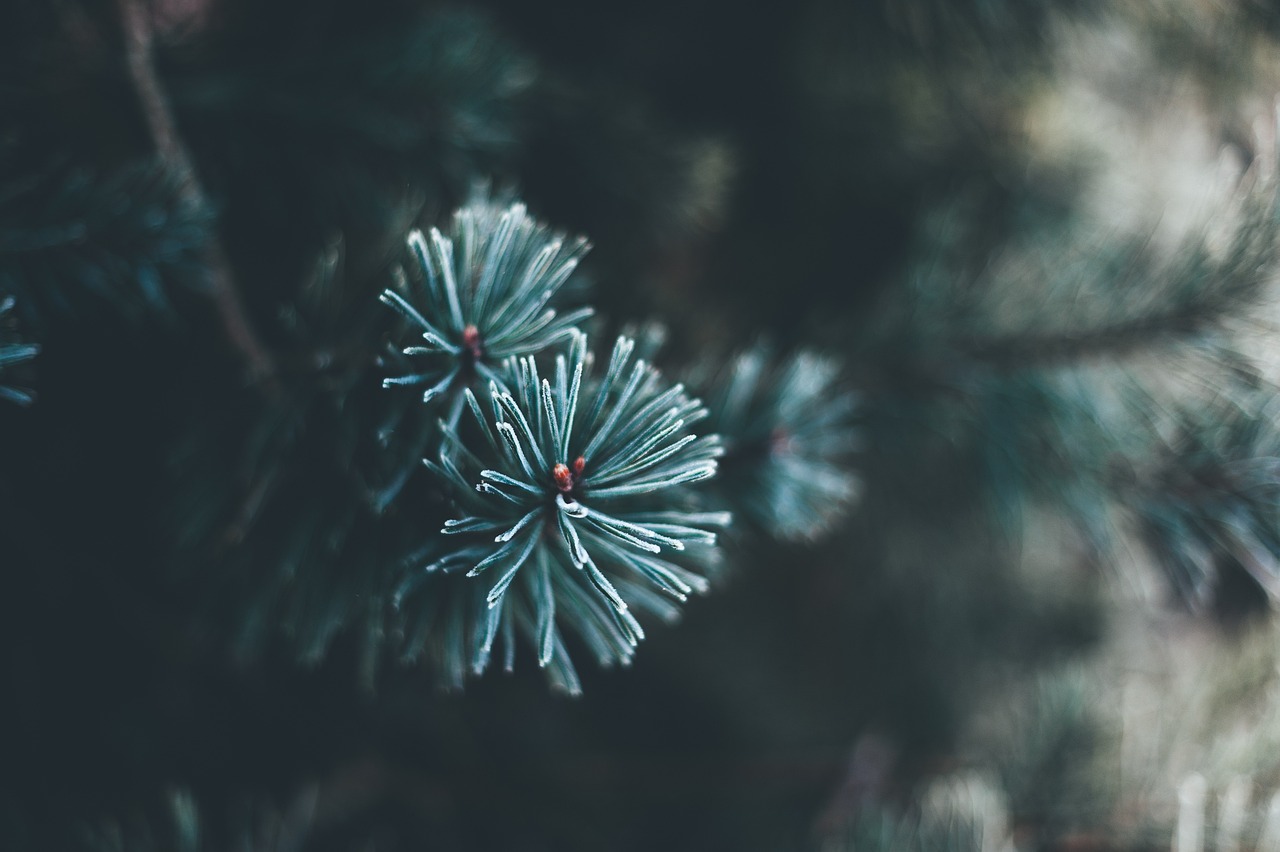 人生的终极目标,是进入“心流”