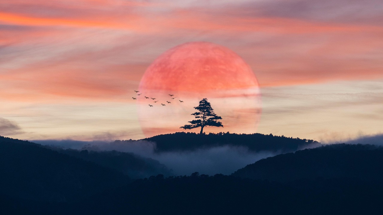 主动选择幸福指南