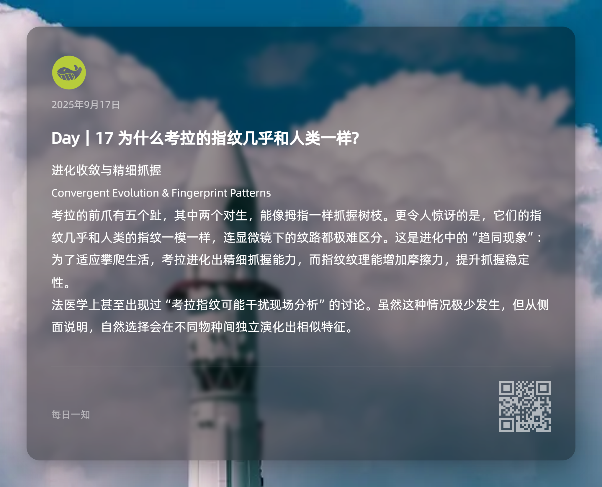图片[17]-知识卡片-鼓腹星球