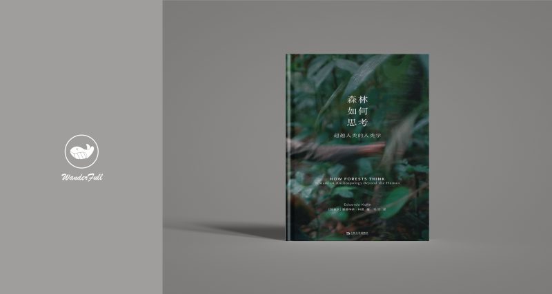 《森林如何思考：超越人类的人类学》  ｜ 爱德华多·科恩（豆瓣7.4）-鼓腹星球