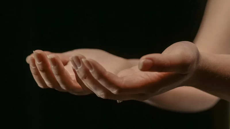 纵横四海：EP33《Give and Take》人善被人欺终极解决方案  ｜ 携隐Melody-鼓腹星球