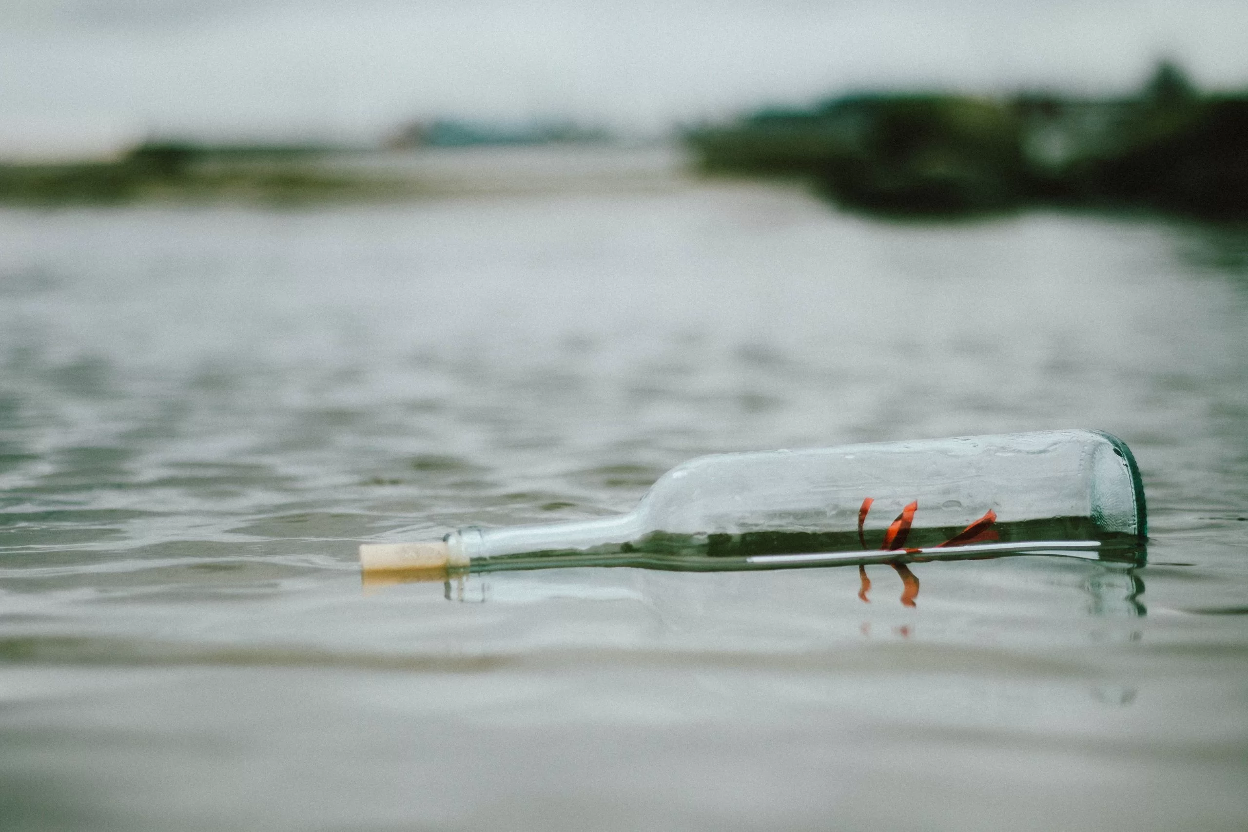 如何放下那些伤害过你的人