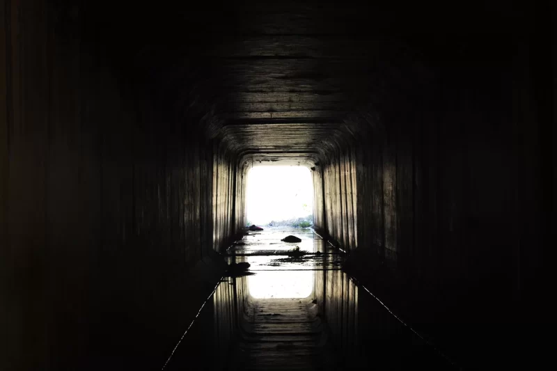 我聆听了100个濒死体验:生命,远非我们所想那样 | Jasmine Soul Mana-鼓腹星球