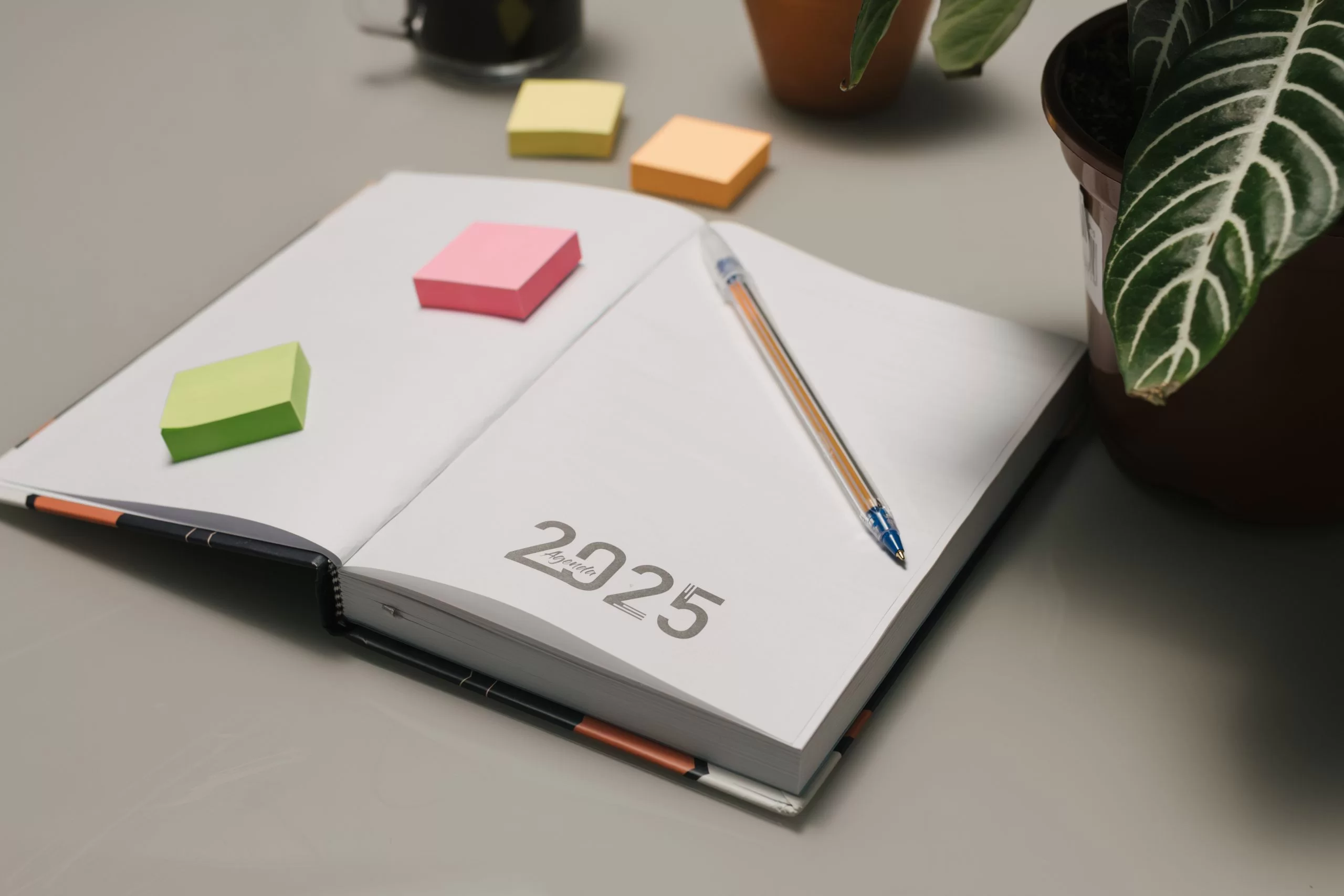 如何在2025年真正实现你的目标-鼓腹星球