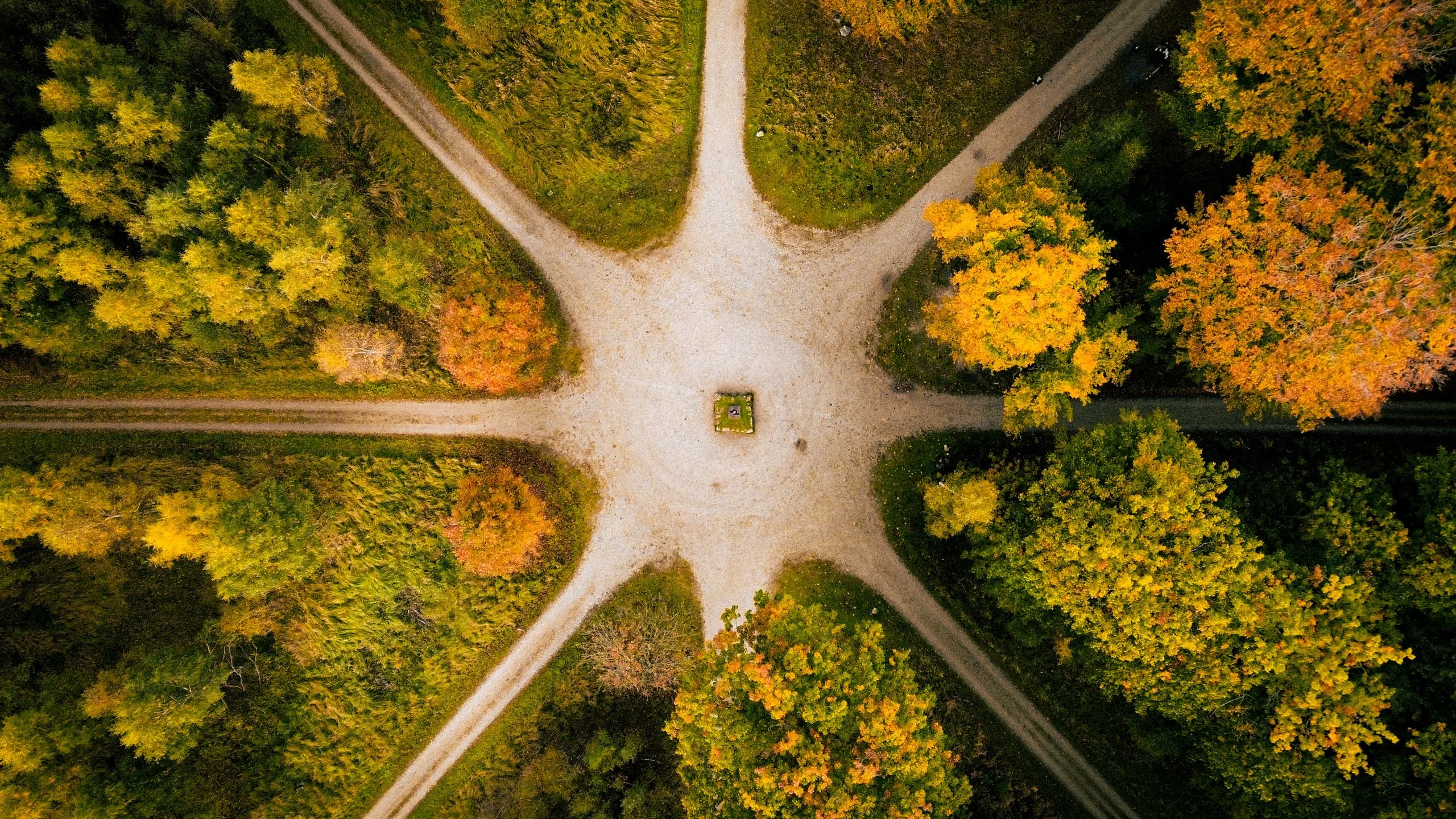 人生的七个关键十字路口-鼓腹星球