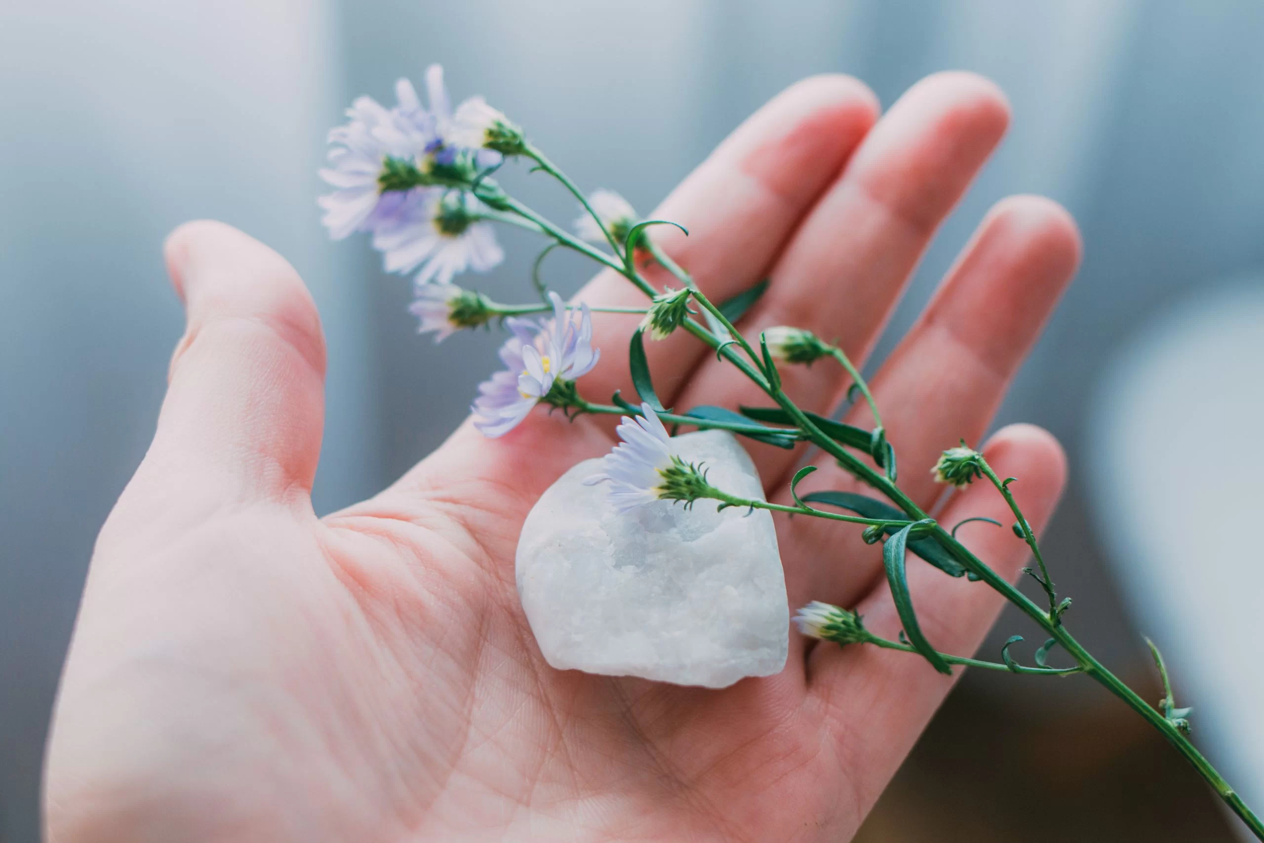 卡尔·荣格:真正的疗愈,是学会放下